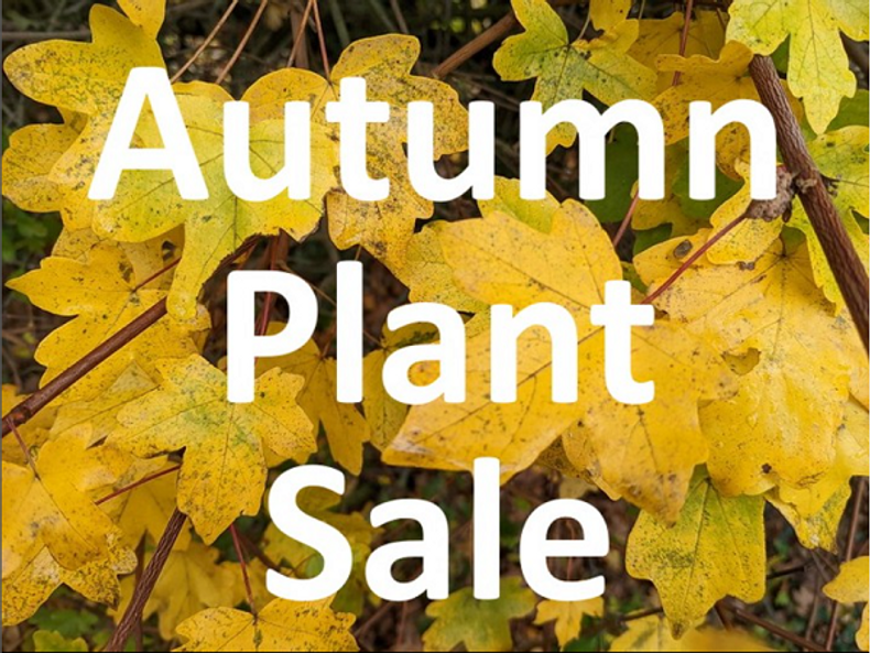 Autumn Plant Sale