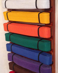 Blog - Australian Martial Arts Belt Racks