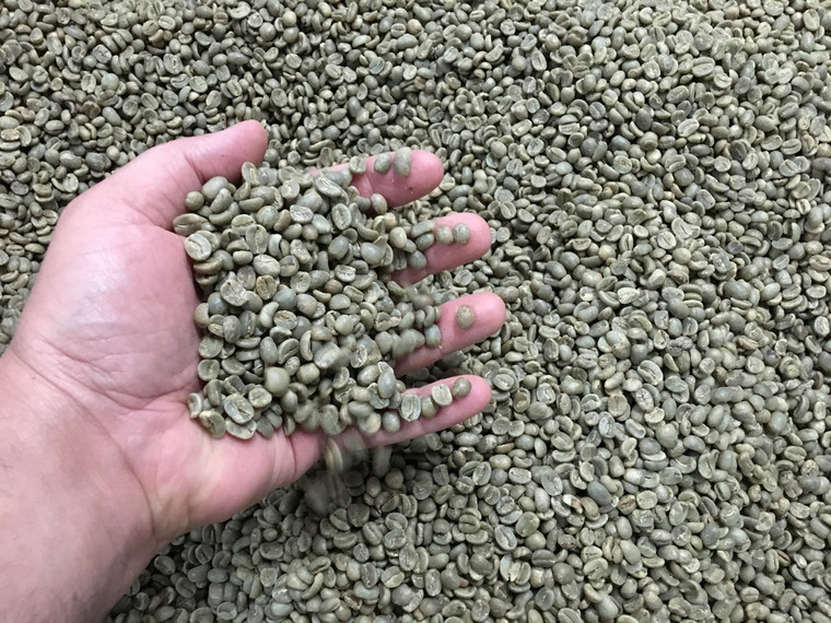 Roasted for taste, distinct body characters and levels of acidity, making the coffee more complex in every cup.  Coffee has notes of chocolate and cocoa, a naturally occurring characteristic found in this Arabica bean grown and harvested on select fair trade farms in Honduras.