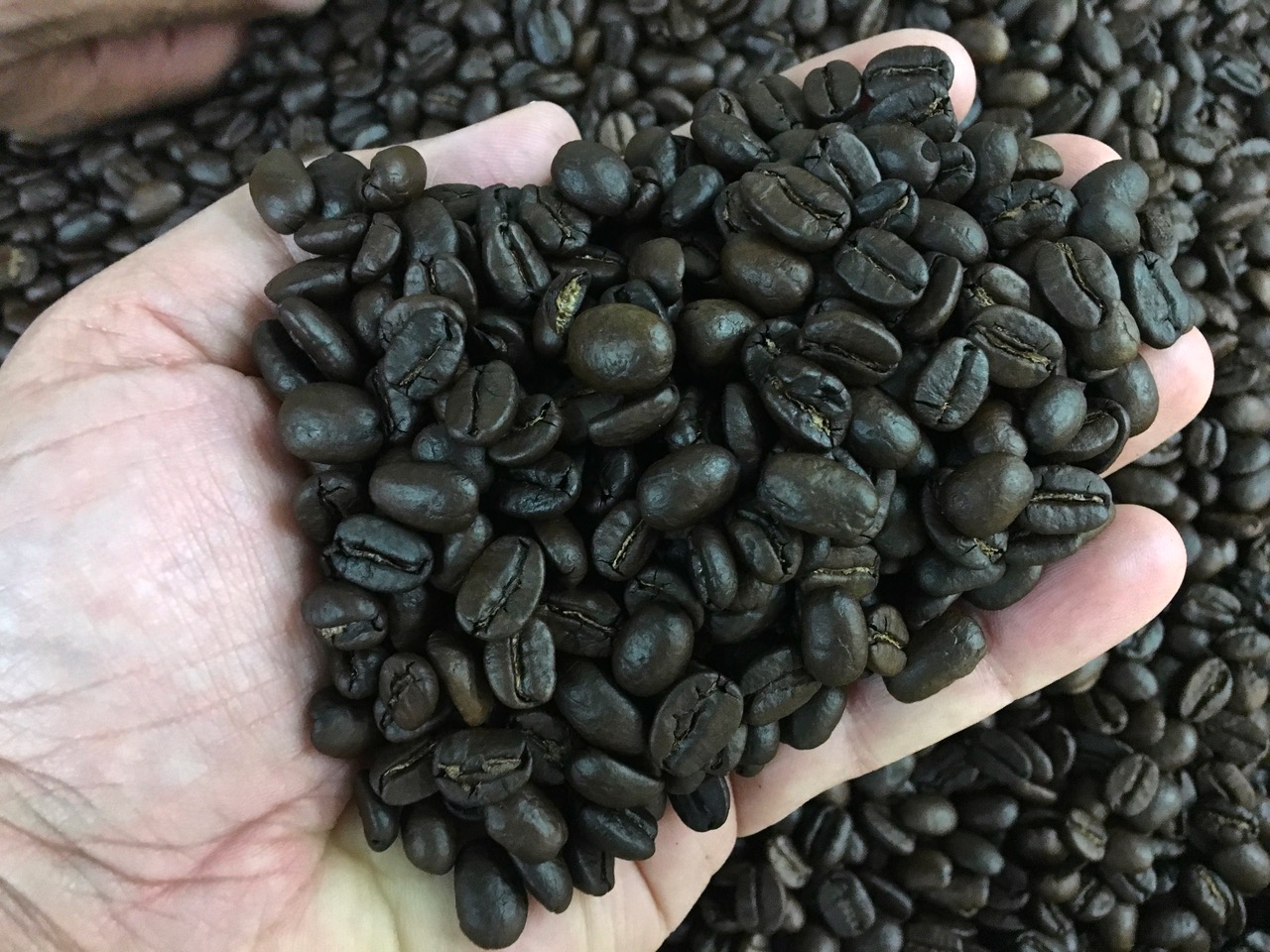 img-6380.jpeg img-6380.jpeg