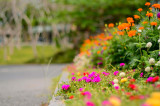 Get your garden ready for winter in the UK Get your garden ready for winter in the UK