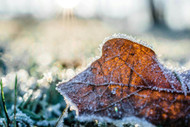 How to Prepare Your Wooden Garden Planters and Plants for a British Winter How to Prepare Your Wooden Garden Planters and Plants for a British Winter