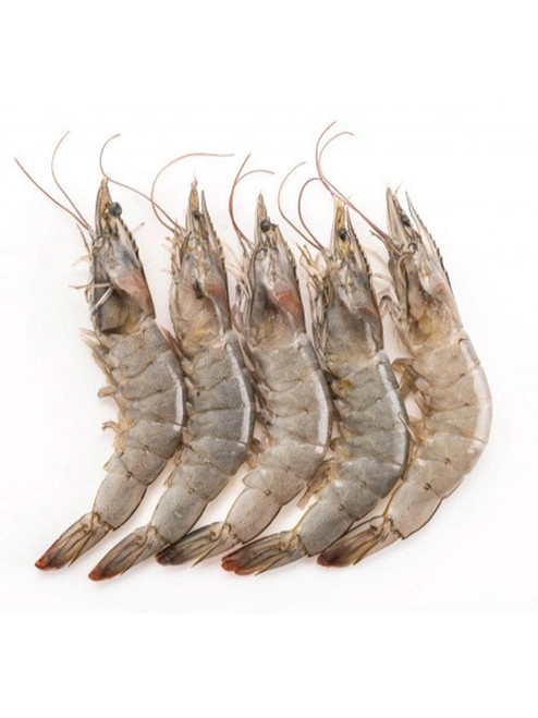 SKULL ISLAND U/6 RAW TIGER PRAWNS 3KG