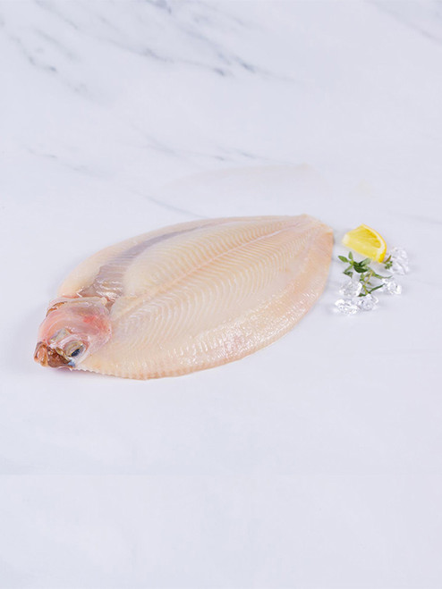 LEMON SOLE NZ SIZE D 10KG/CTN