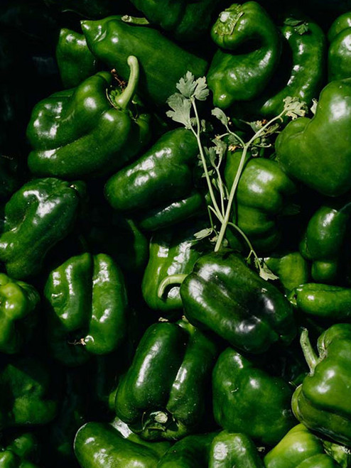 CAPSICUM GREEN