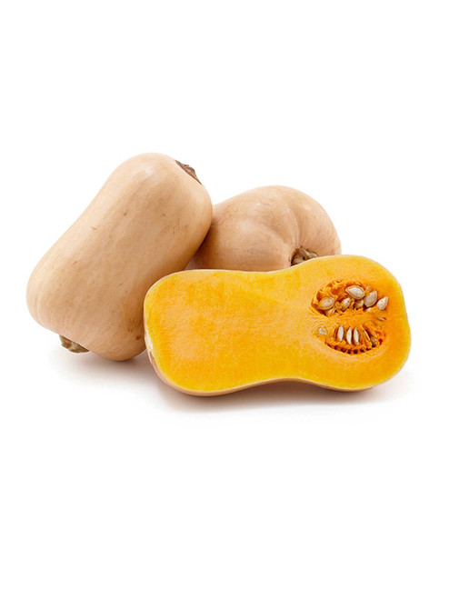 PUMPKIN BUTTERNUT