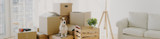 How to Move a Smart Home or Security System