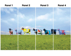 Cow Fabric banners 144"H