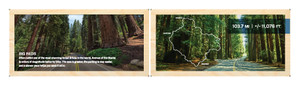 Great Rides California | Avenue of the Giants - Redwoods State Park | Header Above