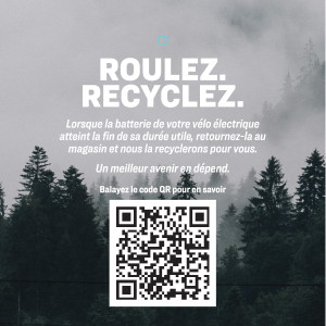 French EBike Battery Recycling 4x4 (50/box)