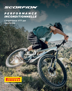 Story Plate Pirelli Tires B (French)