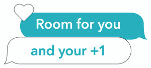 Electra Ponto Go! Saddle Decal (5/package)