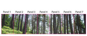 PNW Forest Fabric Banners 96"H
