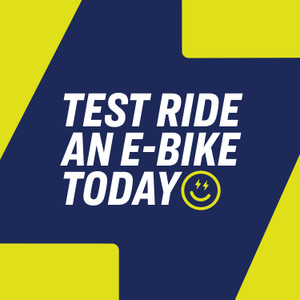 Electric Campaign 2025 Cling 