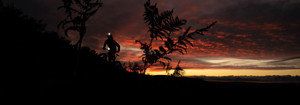 TWE Subheader 9