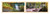 Global Great Rides North Carolina | Pisgah National Forest - Brevard | Header Above