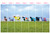 Opto Banner Panels Cow 96"H