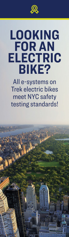 NYC Ebike Safety SBM | 14x48 | double-sided