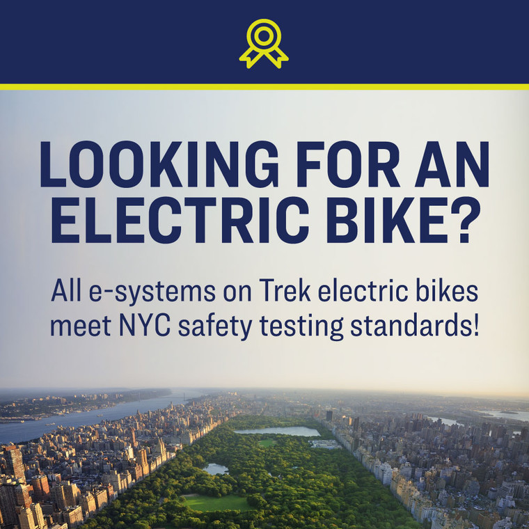 NYC Ebike Safety | Tabletop 14x14