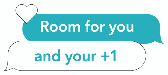 Electra Ponto Go! Saddle Decal (5/package)