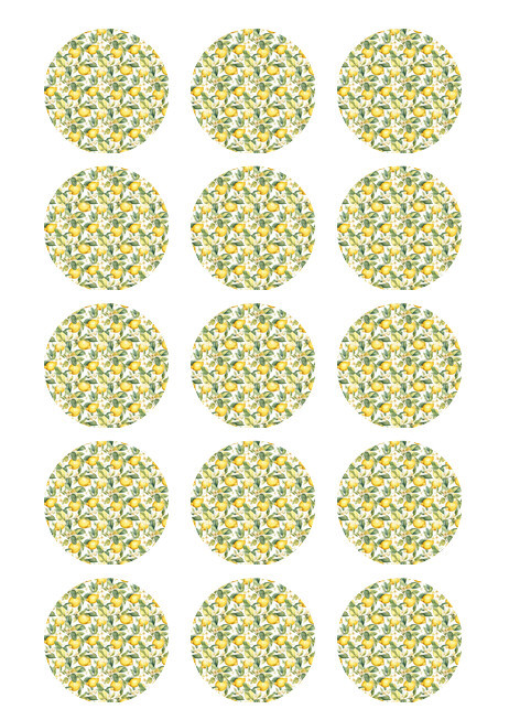 lemons-edible-image-em431-christines-molds