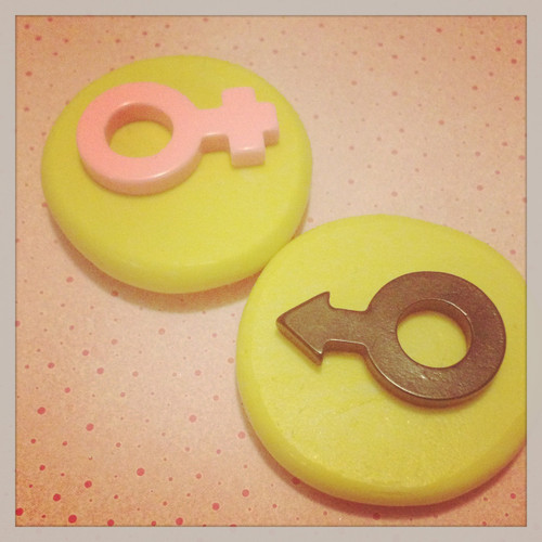 Boy /Girl Male/Female Sign Mold Silicone 