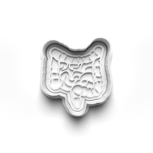 Human intestines  stamp and cookie cutter cc362