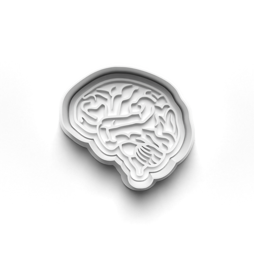 Human Brain stamp and cookie cutter cc364