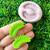 palm leaf Silicone mold