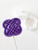 K pop demon Hunters  Cake Pop mold Plunger with Fondant stamp 