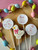 One Silly Goose Pink    Image edible image  -em1078