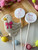 One Silly Goose Cake pop Fondant embosser and cutter Mold Set 