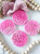Rose Flower with leaves   Fondant /Cookie Embosser
