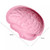 Brain silicone Mold