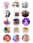 Taylor Tour   edible image  - em860