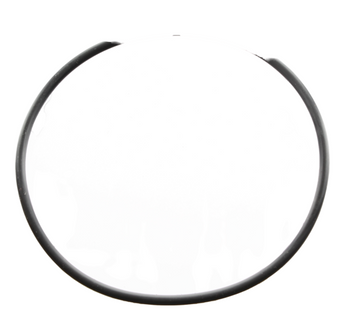 Remote Thermostat Housing Mounting O-Ring