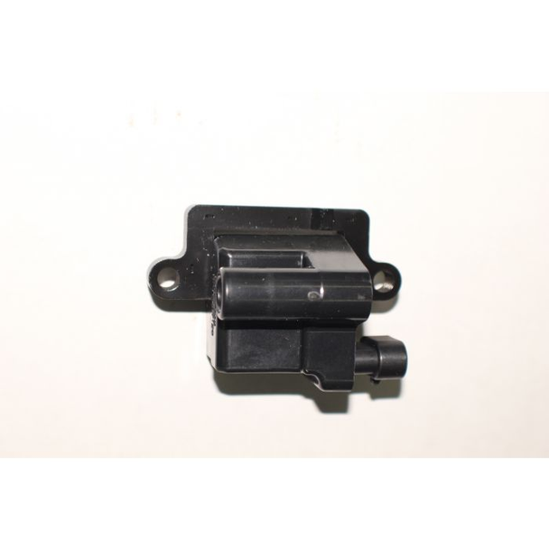 Indmar LQ9 & 8.1L Ignition Coil (551369)