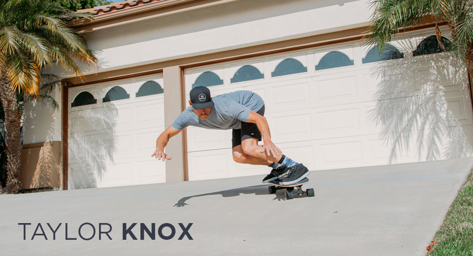 taylor-head-banner.jpg taylor-head-banner.jpg