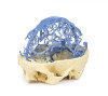 Venous Circulation | 3D Printed Cadaver