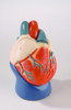 Nonbreakable Life-Size Heart