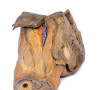 Male hemipelvis and thigh 3D Replica MP1142 | Erler-Zimmer | Candent 2