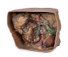 Abdomen vasculature 3D Replica MP1131 | Erler-Zimmer | Candent 3