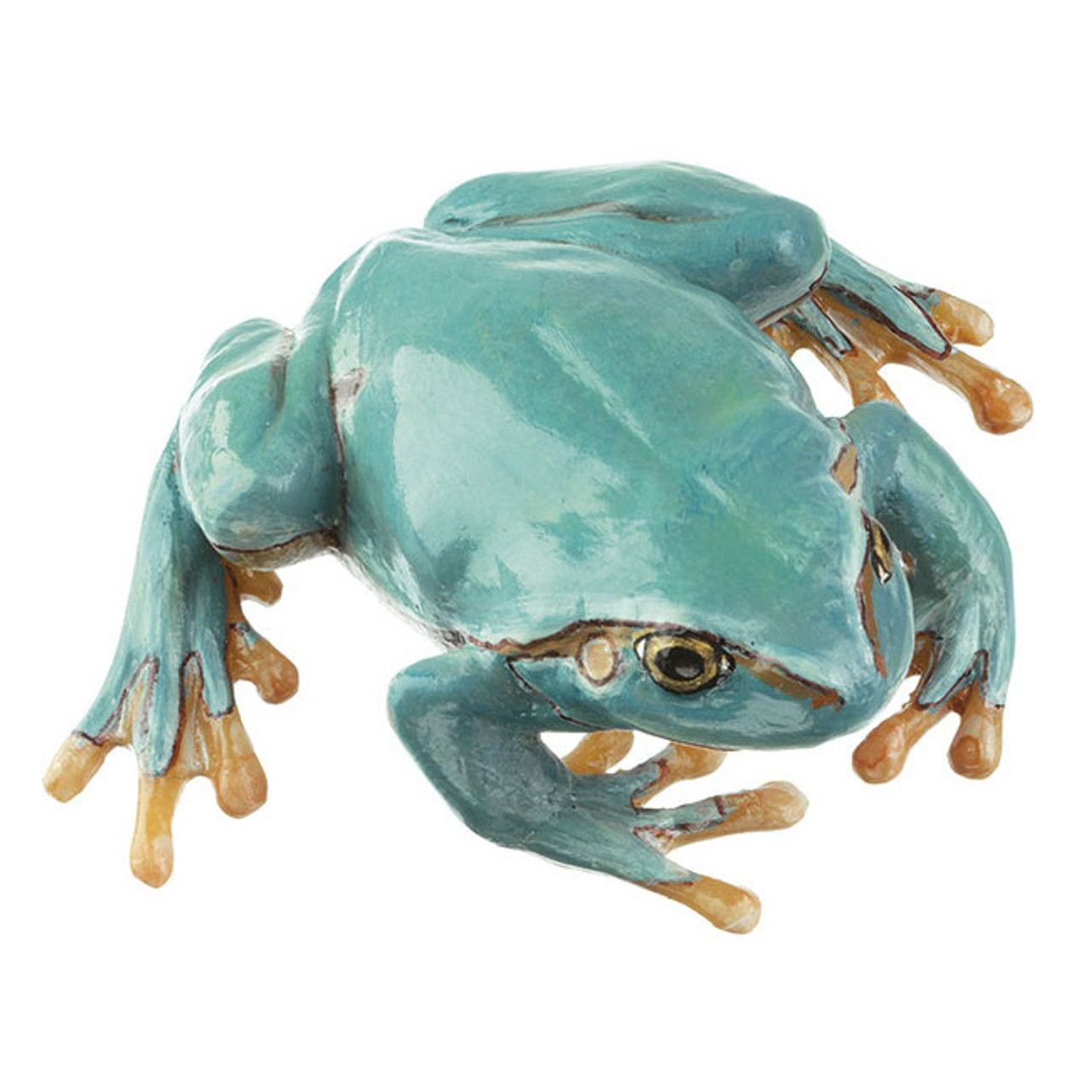 Common Tree Frog, seldom light blue variety, Female - Somso ZoS 1016/4