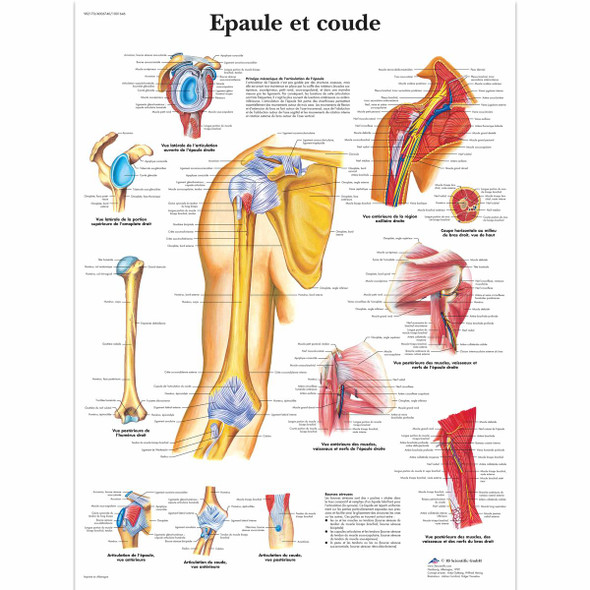 L'epaule et le Coude chart