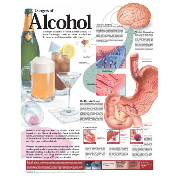 Dangers of Alcohol chart, 2E