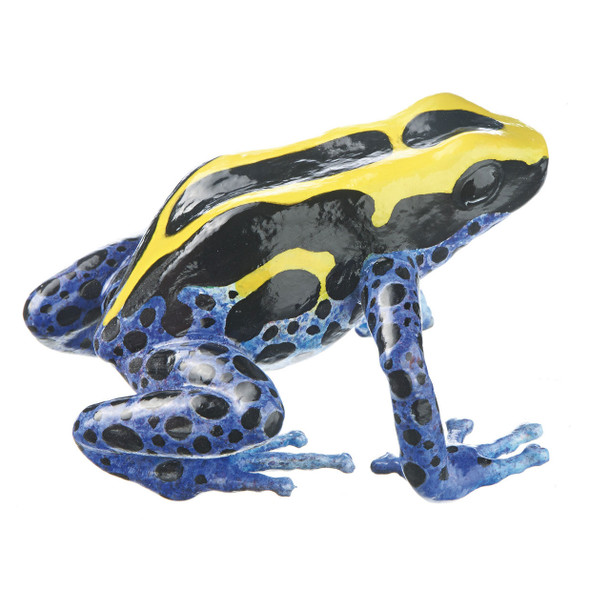 Dendrobates Tinctorius, female, blue/yellow/black Somso ZoS 1252