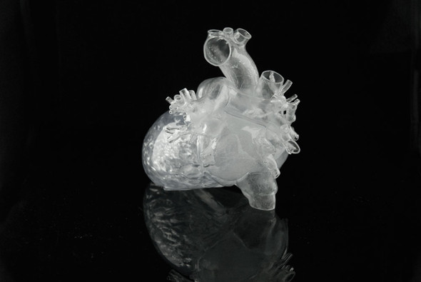 Transparent reproduction of a real human heart