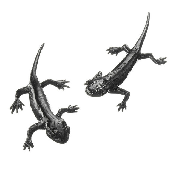 Alpine salamander, 2 young specimens Somso ZoS 1000/2