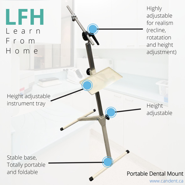 Porta-Sim Portable Dental Stand