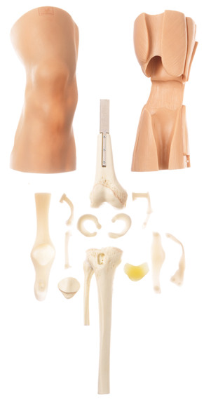 Arthroscopy Model of the Knee-Joint - showing components